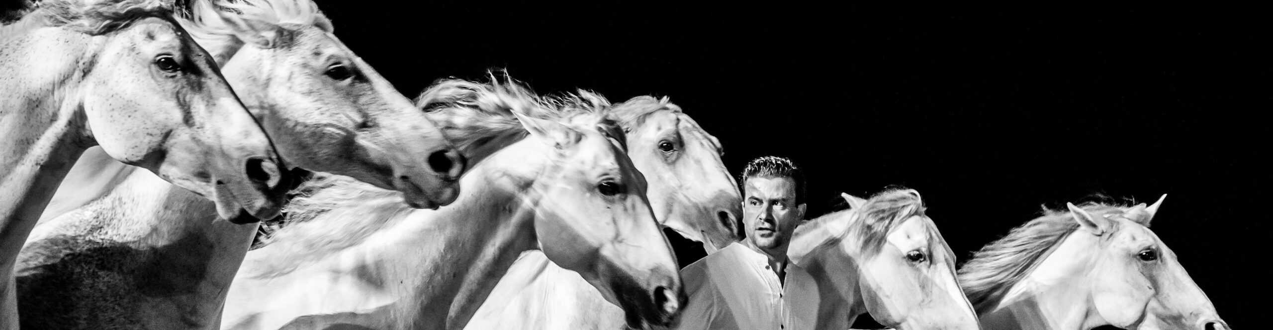 Bâche V Liberator HEADER