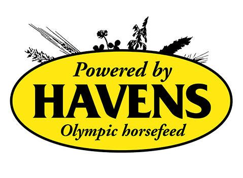 Havens - 1x1