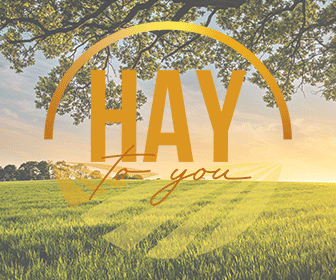 Hay-to-You-336x280