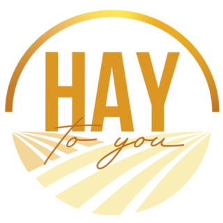 HaytoYou - 1x1