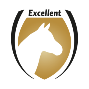 Hofman - Excellent - 1x1