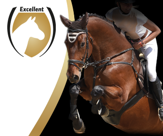 HorseEvent_Banner_336x280