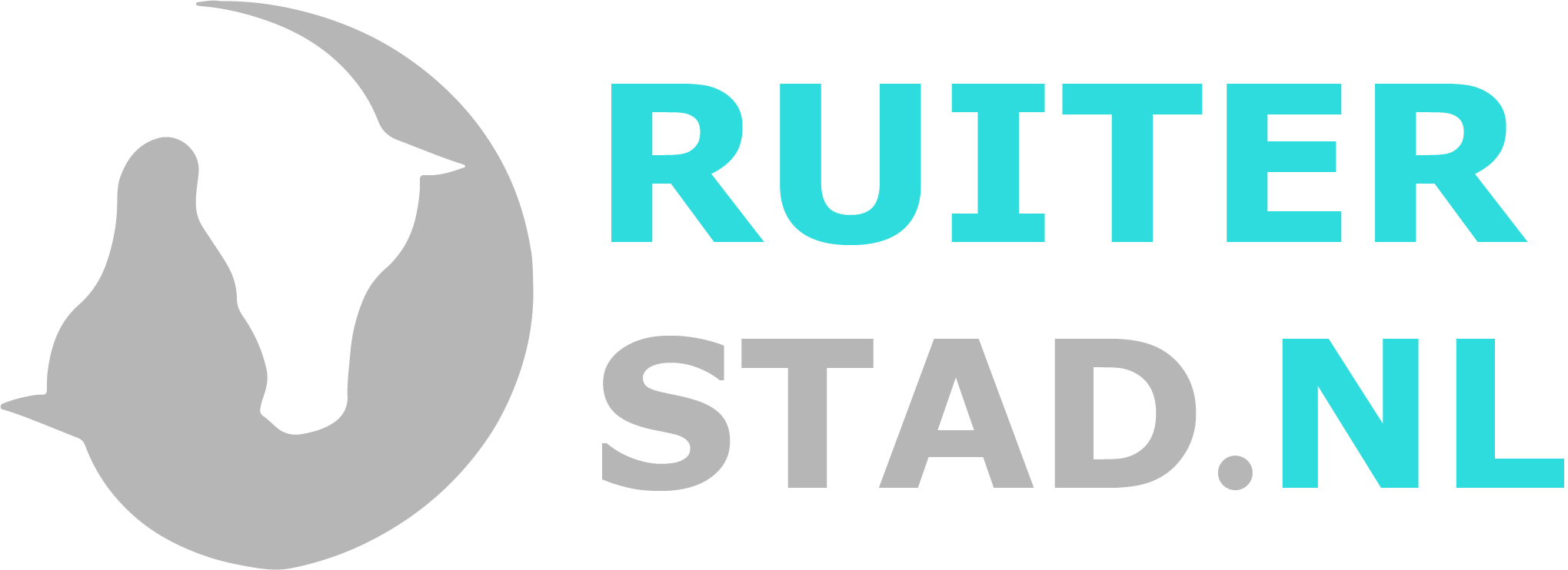 Logo Ruiterstad breed