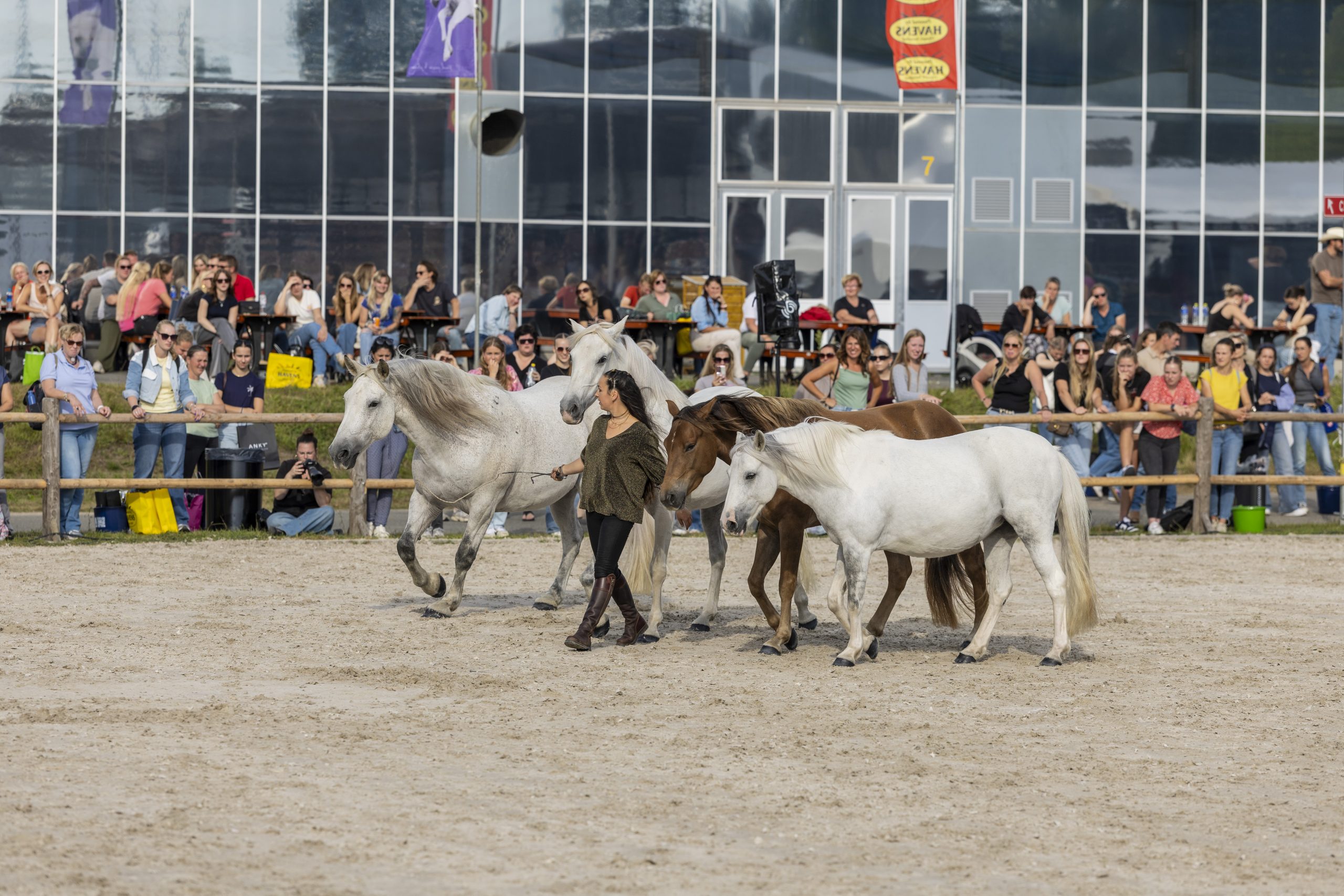 AnneGaelloBertho-RVR31385