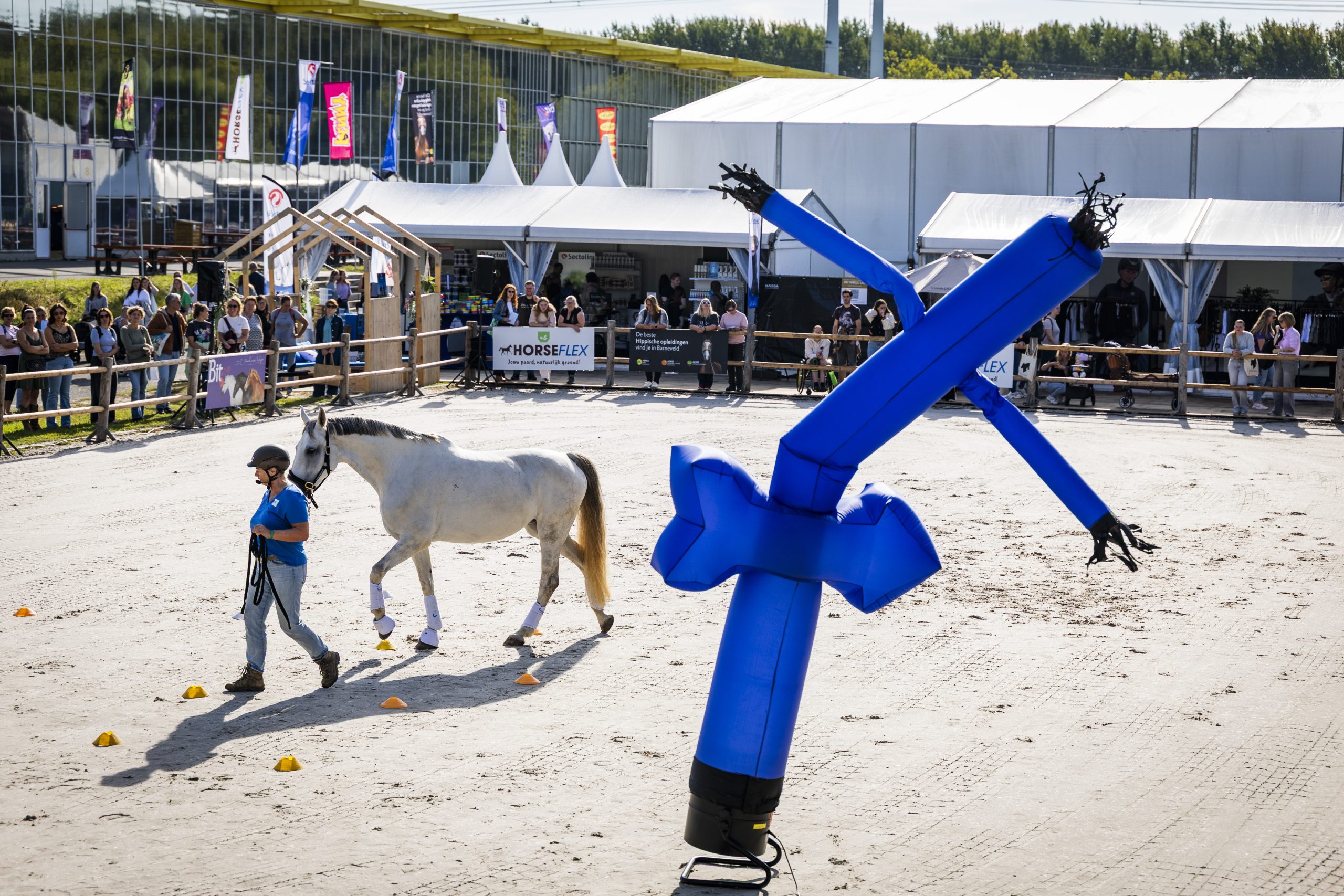 AnnemarieVdToorn-_V243421