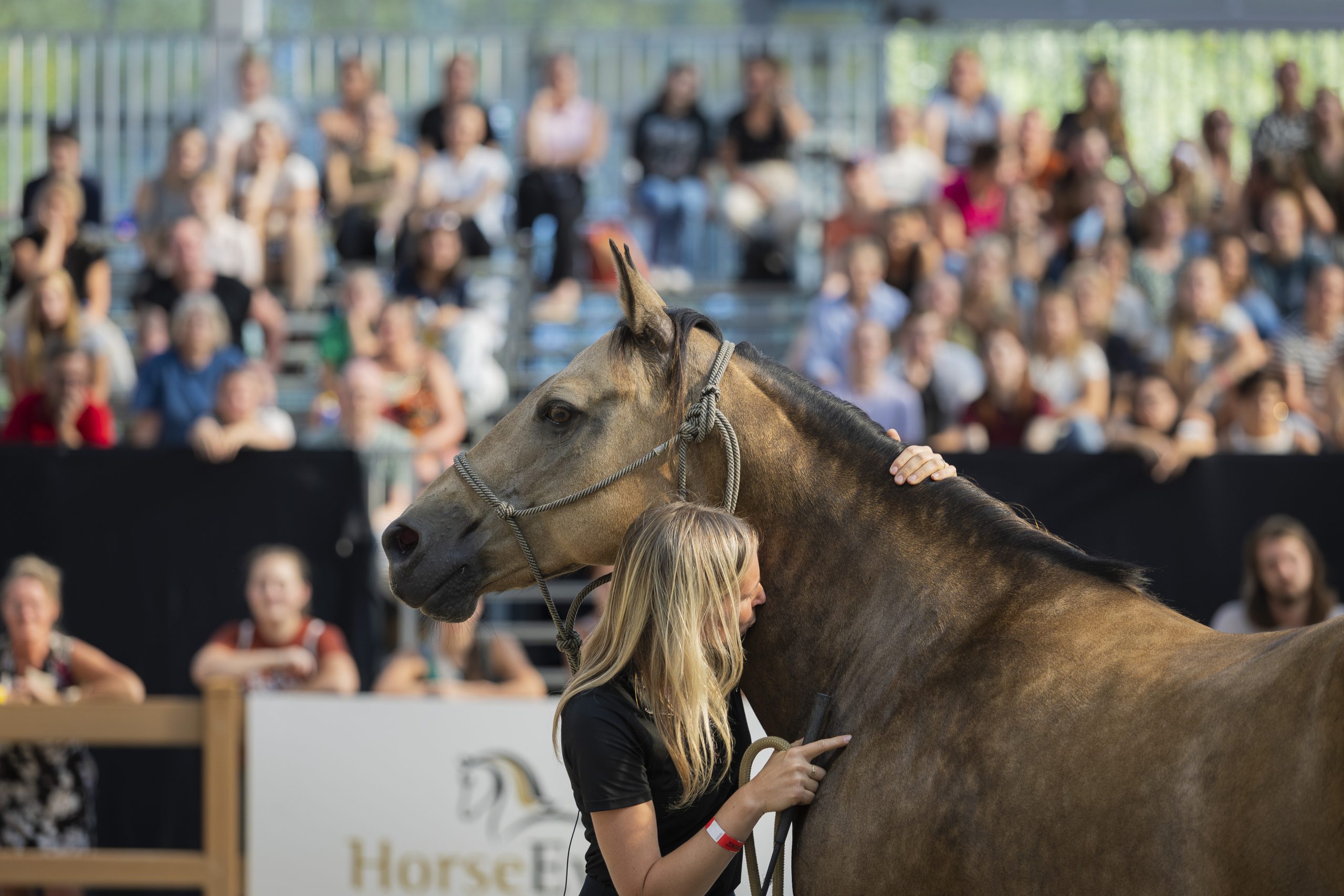 FeatherLight-_V248663