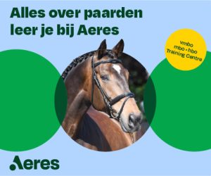 Banner Aeres website Horse Event