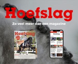 Banner HS Horse Event 2026